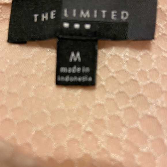 The Limited Blush Blouse - Picture 5 of 5